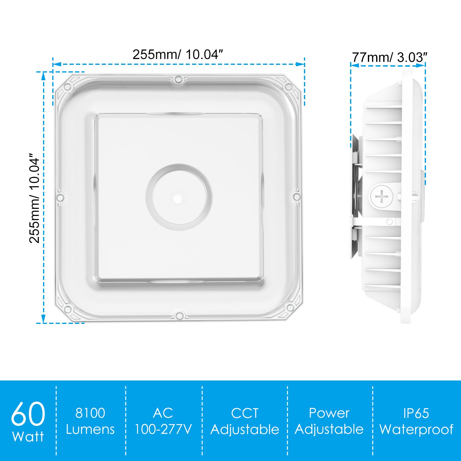 Haloitte Lighting LED Canopy Light